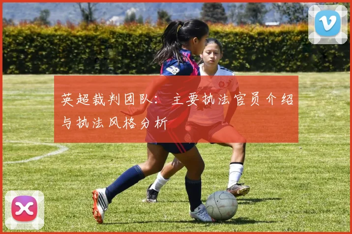 英超裁判团队：主要执法官员介绍与执法风格分析