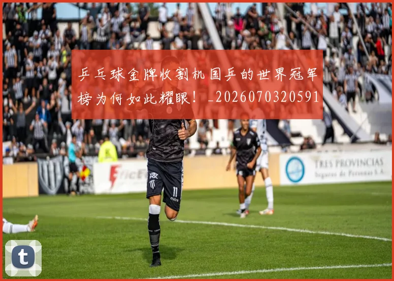乒乓球金牌收割机国乒的世界冠军榜为何如此耀眼！_20260703205912