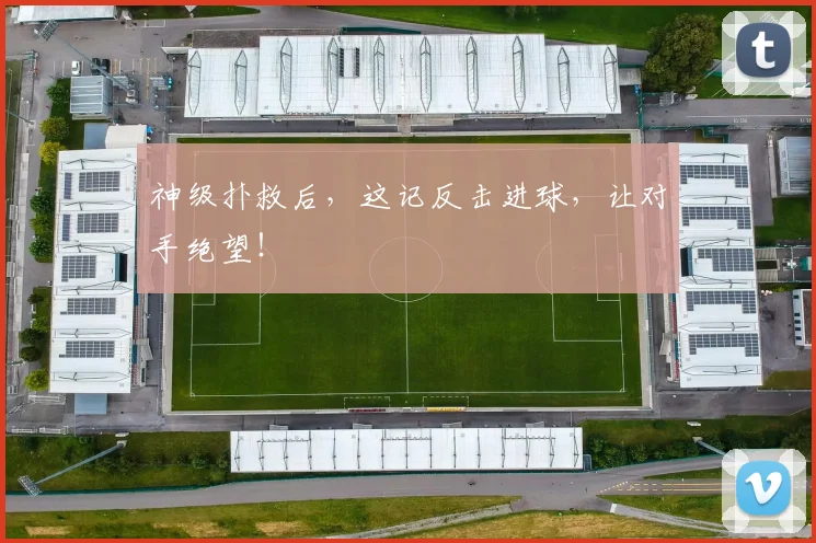 神级扑救后，这记反击进球，让对手绝望！